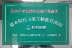 格爾木有機(jī)枸杞試驗(yàn)示范基地