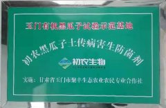 玉門(mén)有機(jī)黑瓜子試驗(yàn)示范基地
