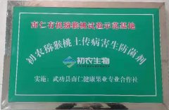 南仁有機(jī)獼猴桃試驗(yàn)示范基地