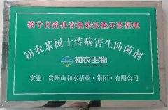 鎮(zhèn)寧自治縣有機(jī)茶試驗(yàn)示范基地